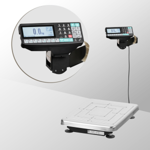 Весы с печатью этикеток МАССА TB-S-15.2-RP1